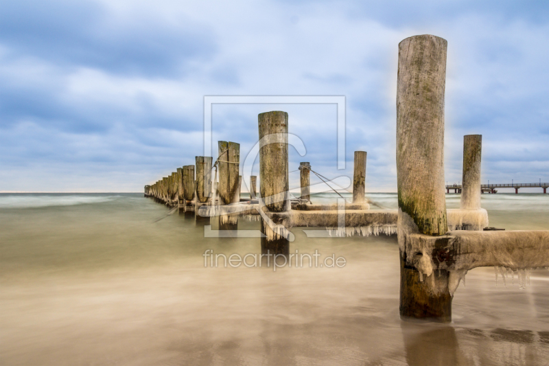 frei wählbarer Bildausschnitt für Ihr Bild auf Fensterfolie