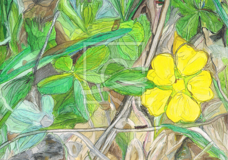 frei wählbarer Bildausschnitt für Ihr Bild auf Fensterfolie