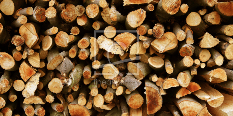 frei wählbarer Bildausschnitt für Ihr Bild auf Fensterfolie