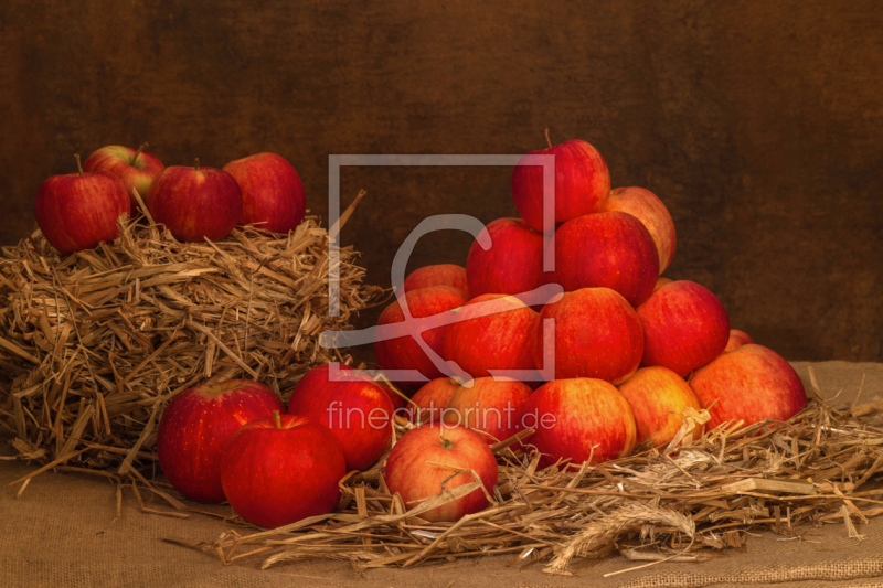 frei wählbarer Bildausschnitt für Ihr Bild auf Fensterfolie