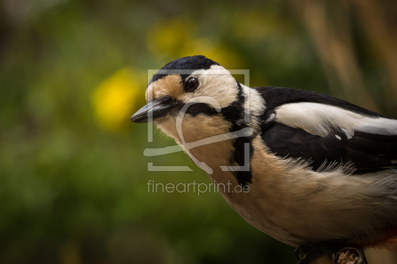 frei wählbarer Bildausschnitt für Ihr Bild auf Fensterfolie