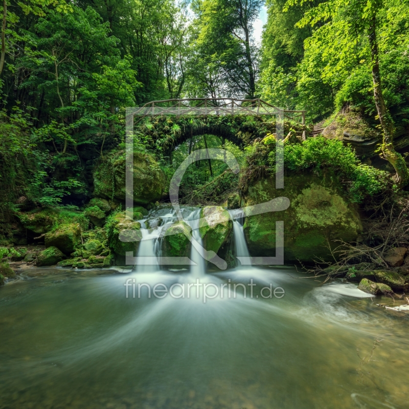 frei wählbarer Bildausschnitt für Ihr Bild auf Fensterfolie