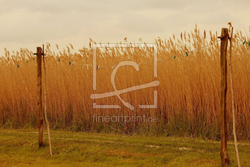 frei wählbarer Bildausschnitt für Ihr Bild auf Fensterfolie