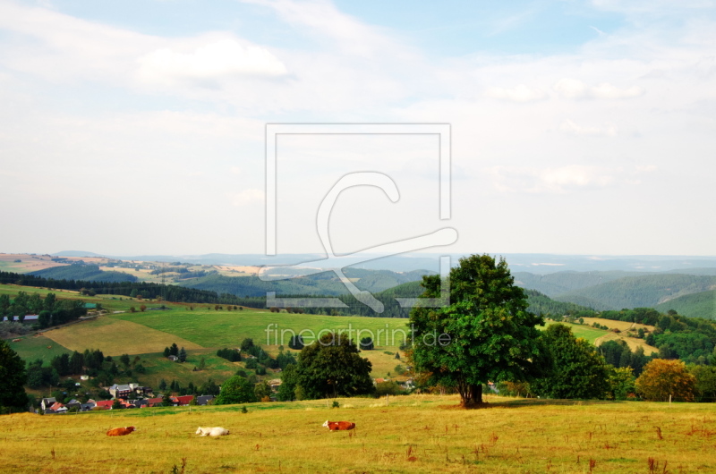 frei wählbarer Bildausschnitt für Ihr Bild auf Fensterfolie