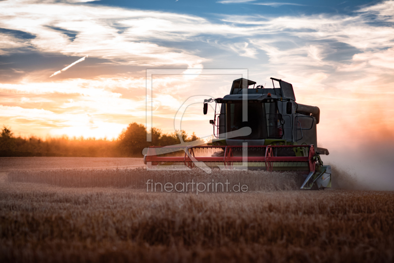 frei wählbarer Bildausschnitt für Ihr Bild auf Fensterfolie