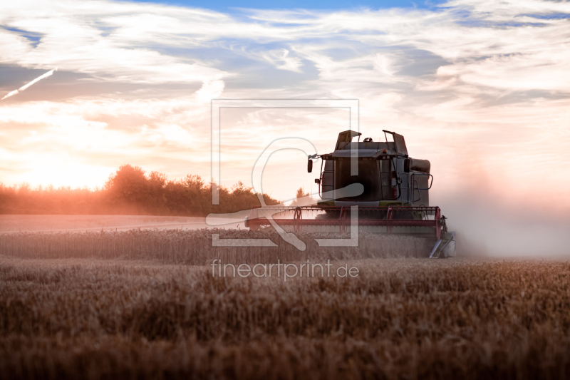 frei wählbarer Bildausschnitt für Ihr Bild auf Fensterfolie
