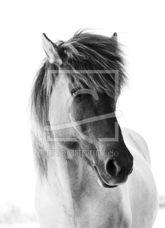 frei wählbarer Bildausschnitt für Ihr Bild auf Fensterfolie