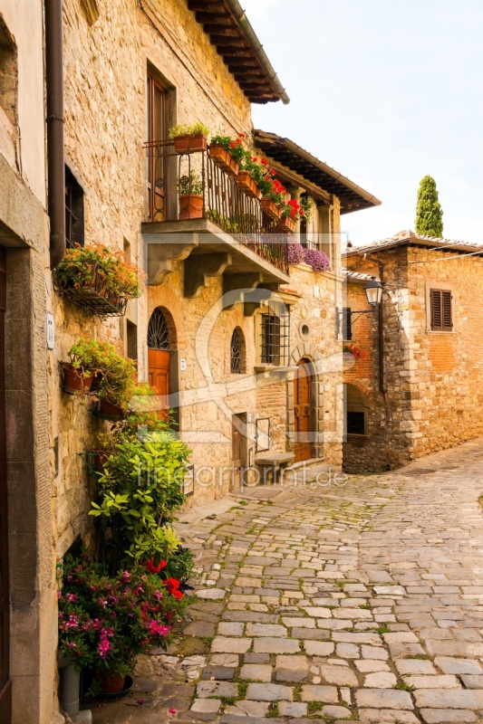 frei wählbarer Bildausschnitt für Ihr Bild auf Fensterfolie