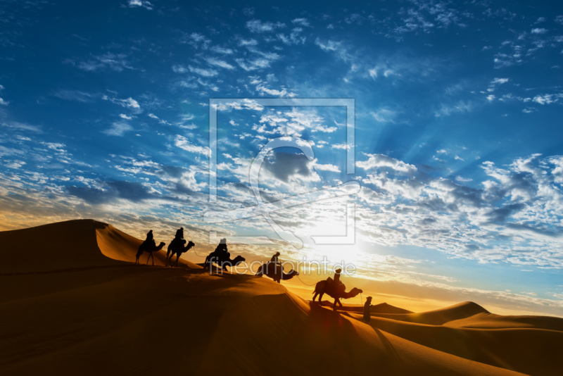 frei wählbarer Bildausschnitt für Ihr Bild auf Fensterfolie