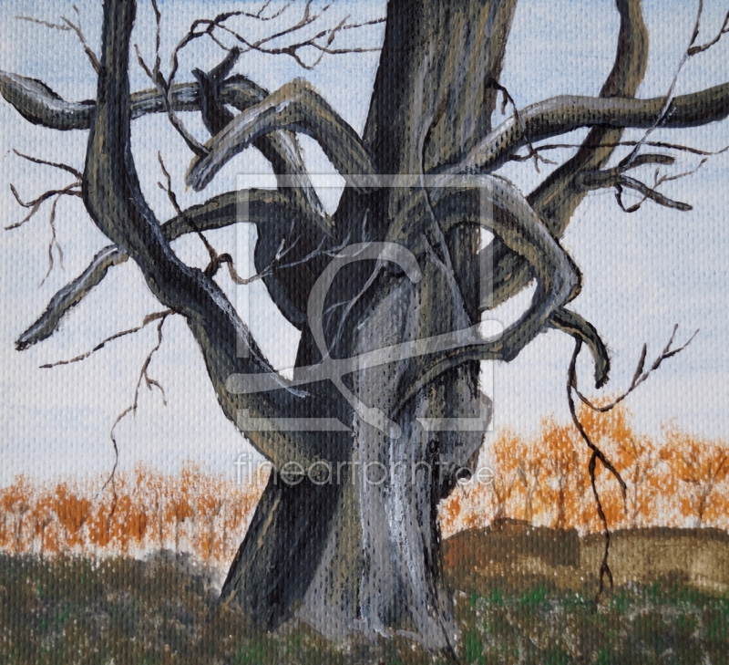 frei wählbarer Bildausschnitt für Ihr Bild auf Fensterfolie