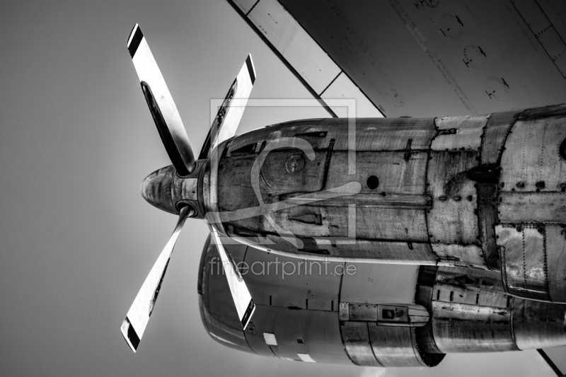 frei wählbarer Bildausschnitt für Ihr Bild auf Fensterfolie