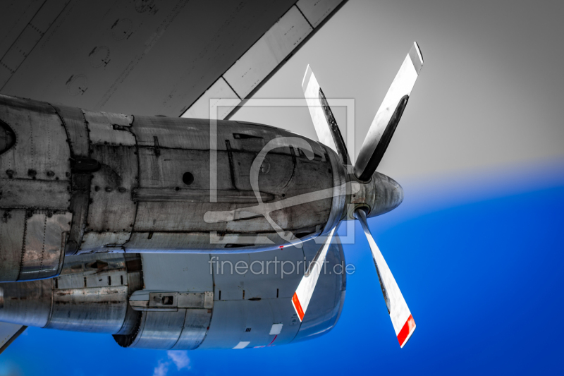 frei wählbarer Bildausschnitt für Ihr Bild auf Fensterfolie