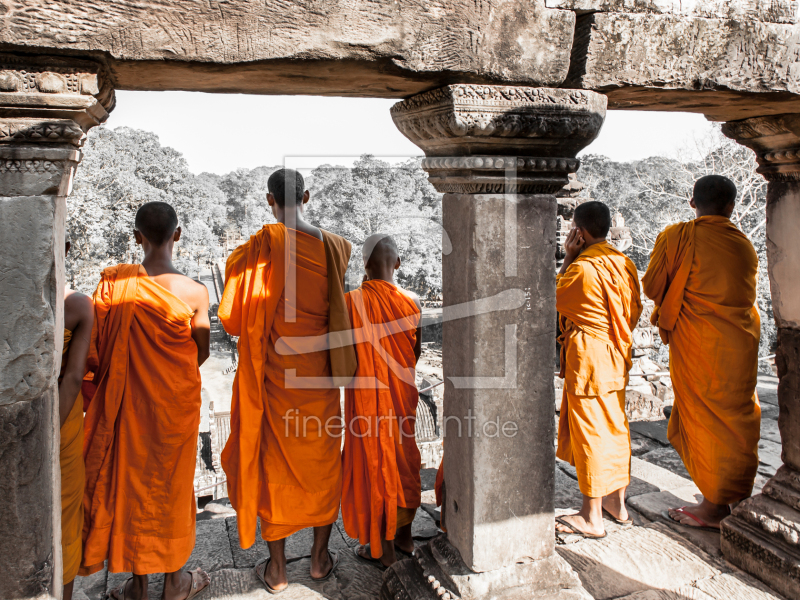 frei wählbarer Bildausschnitt für Ihr Bild auf Fensterfolie