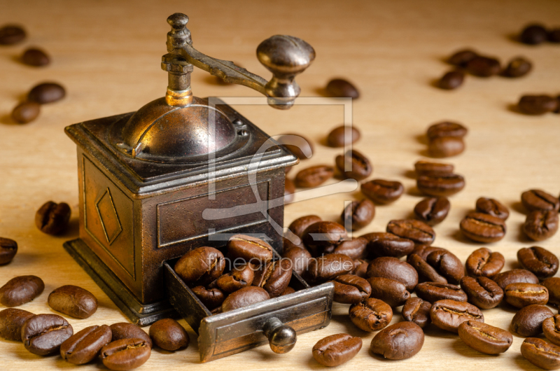 frei wählbarer Bildausschnitt für Ihr Bild auf Fensterfolie