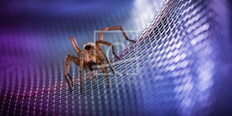 frei wählbarer Bildausschnitt für Ihr Bild auf Fensterfolie