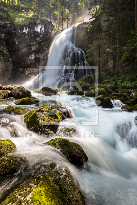 frei wählbarer Bildausschnitt für Ihr Bild auf Fensterfolie