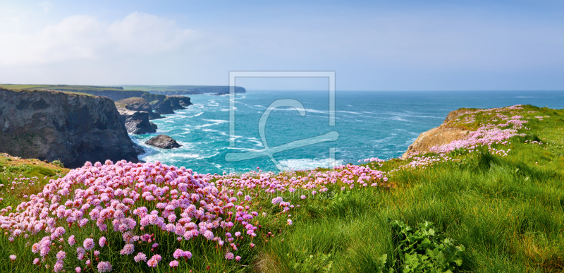 frei wählbarer Bildausschnitt für Ihr Bild auf Fensterfolie