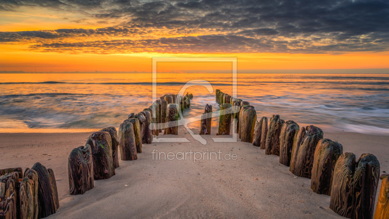 frei wählbarer Bildausschnitt für Ihr Bild auf Fensterfolie