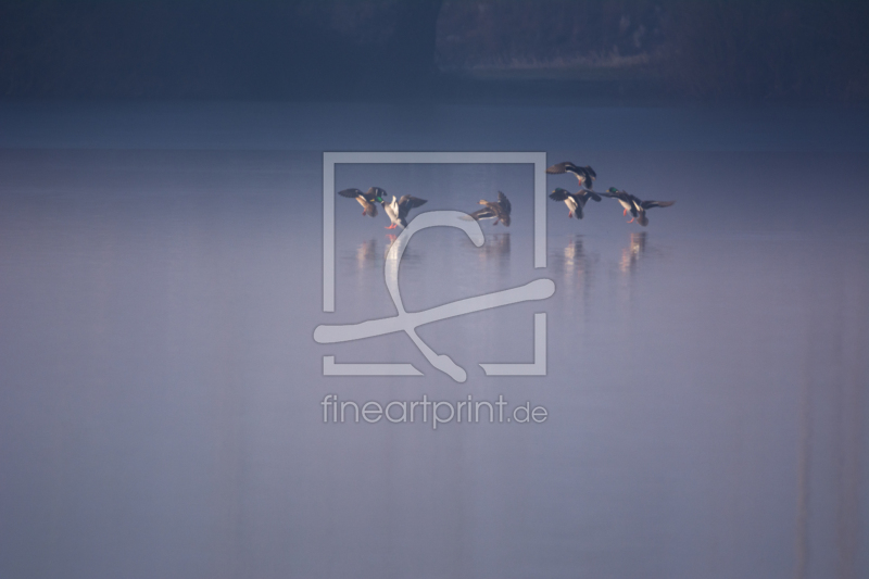 frei wählbarer Bildausschnitt für Ihr Bild auf Fensterfolie