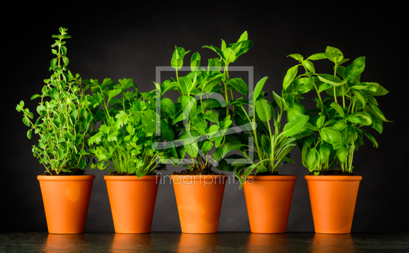frei wählbarer Bildausschnitt für Ihr Bild auf Fensterfolie