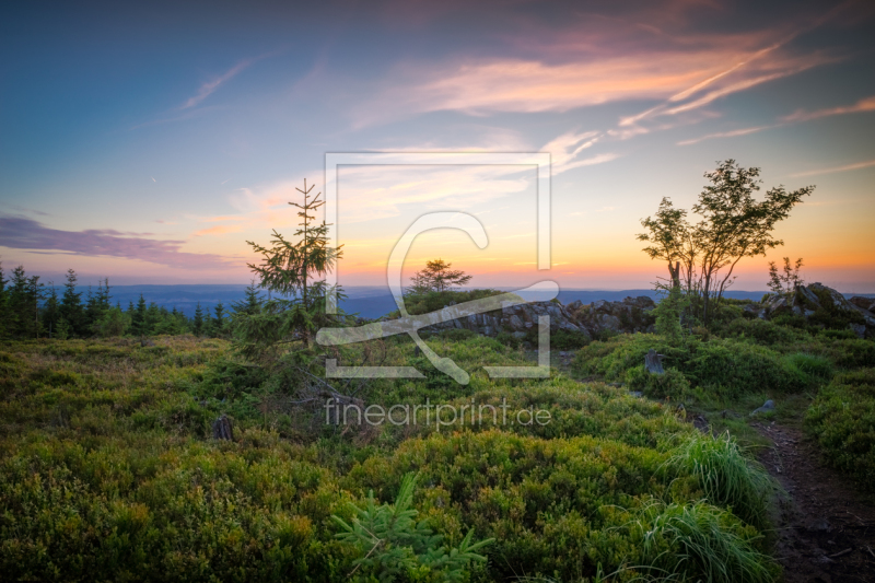 frei wählbarer Bildausschnitt für Ihr Bild auf Fensterfolie