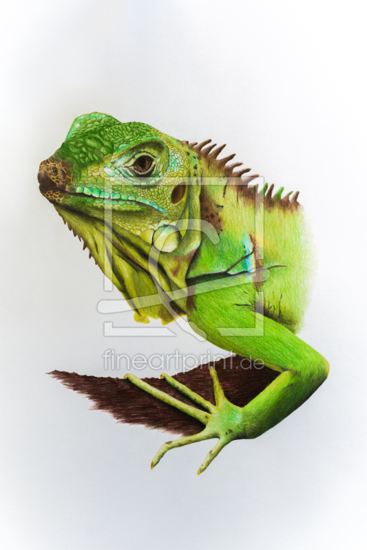 frei wählbarer Bildausschnitt für Ihr Bild auf Fensterfolie