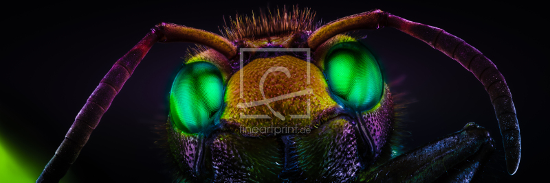 frei wählbarer Bildausschnitt für Ihr Bild auf Fensterfolie