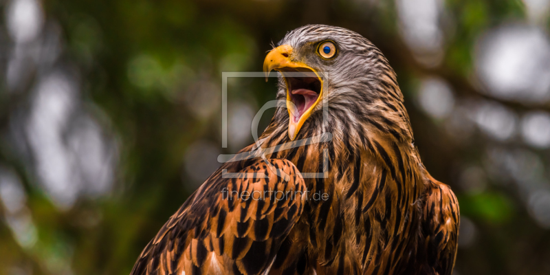 frei wählbarer Bildausschnitt für Ihr Bild auf Fensterfolie