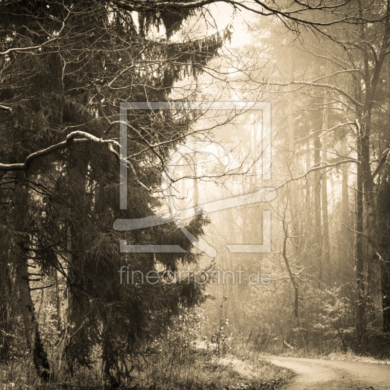 frei wählbarer Bildausschnitt für Ihr Bild auf Fensterfolie