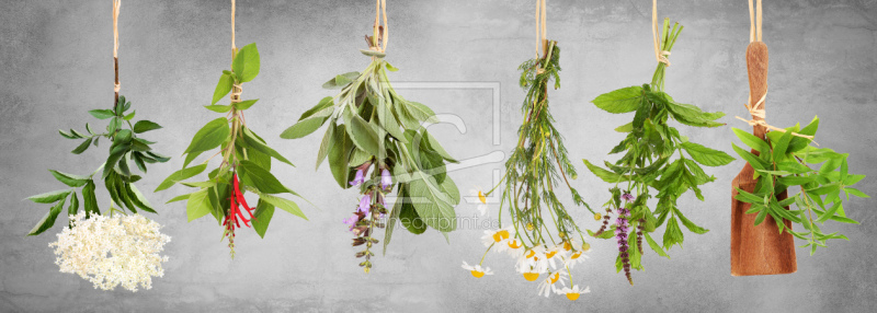 frei wählbarer Bildausschnitt für Ihr Bild auf Fensterfolie