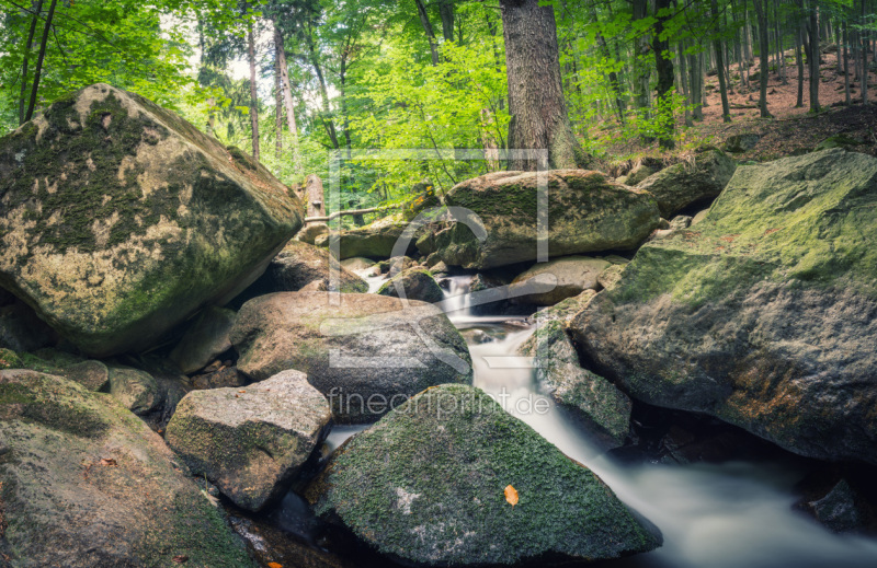 frei wählbarer Bildausschnitt für Ihr Bild auf Fensterfolie
