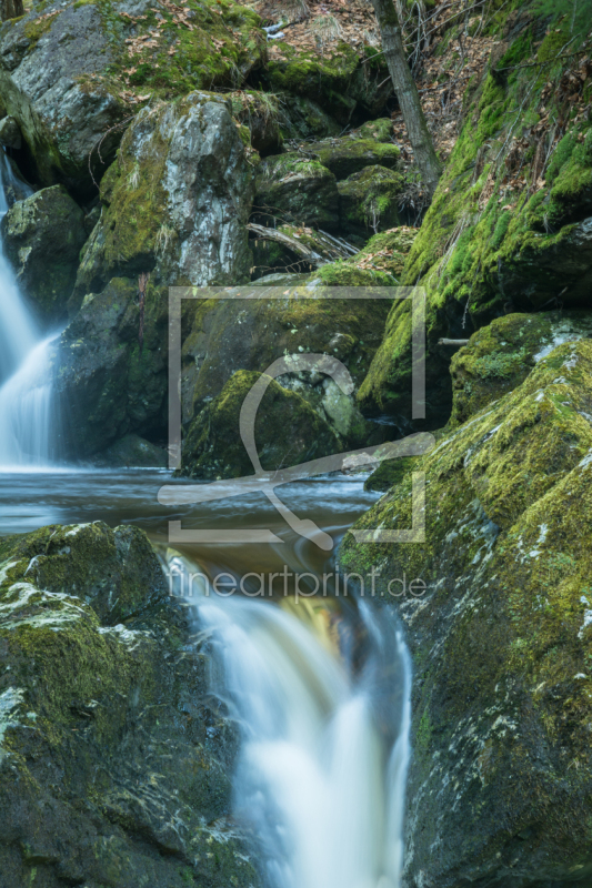 frei wählbarer Bildausschnitt für Ihr Bild auf Fensterfolie