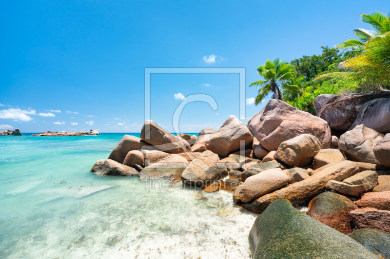frei wählbarer Bildausschnitt für Ihr Bild auf Fensterfolie