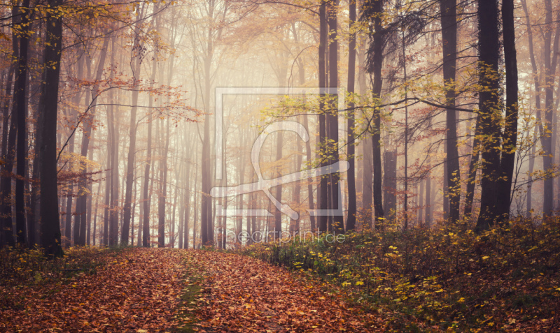 frei wählbarer Bildausschnitt für Ihr Bild auf Fensterfolie