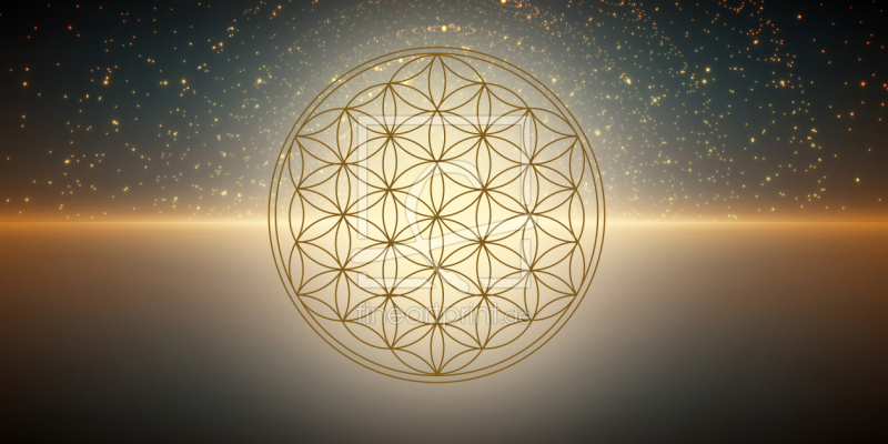 frei wählbarer Bildausschnitt für Ihr Bild auf Fensterfolie