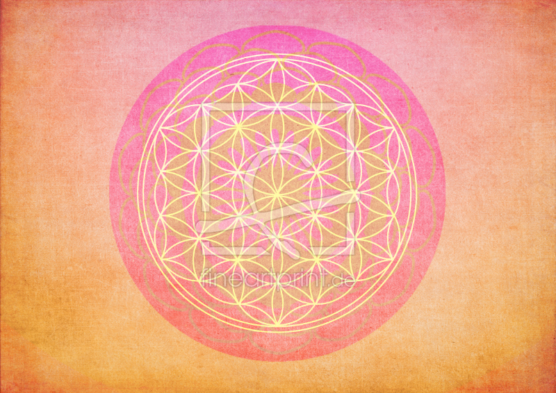 frei wählbarer Bildausschnitt für Ihr Bild auf Fensterfolie