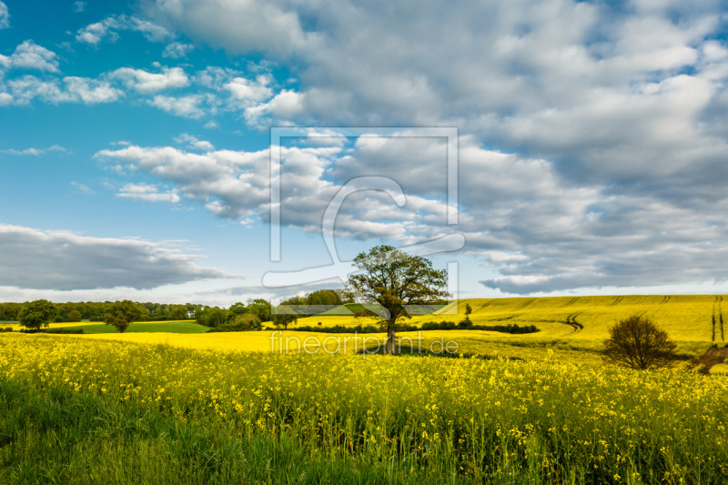 frei wählbarer Bildausschnitt für Ihr Bild auf Fensterfolie