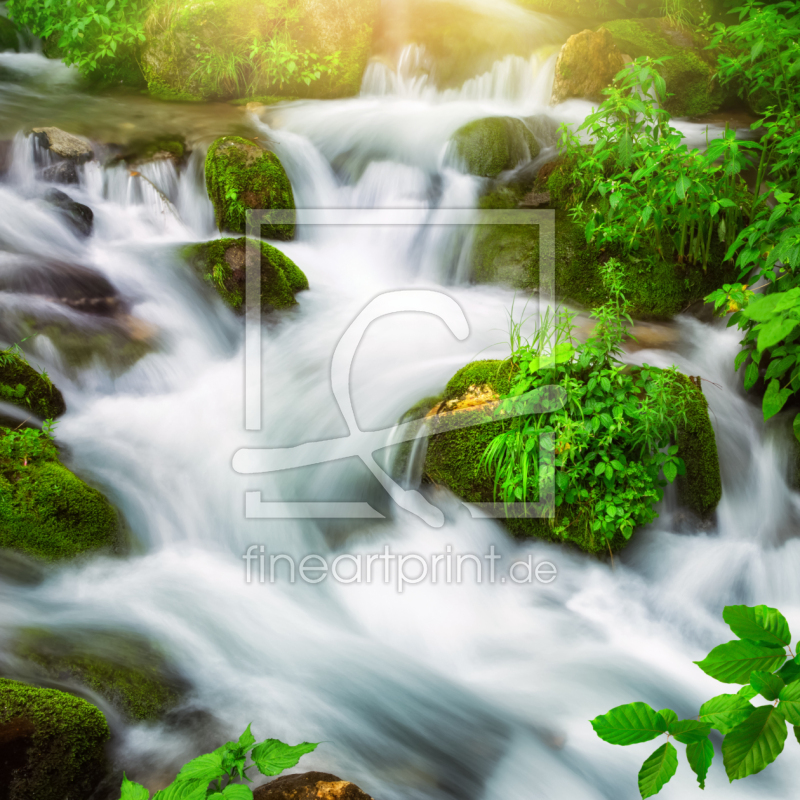 frei wählbarer Bildausschnitt für Ihr Bild auf Fensterfolie