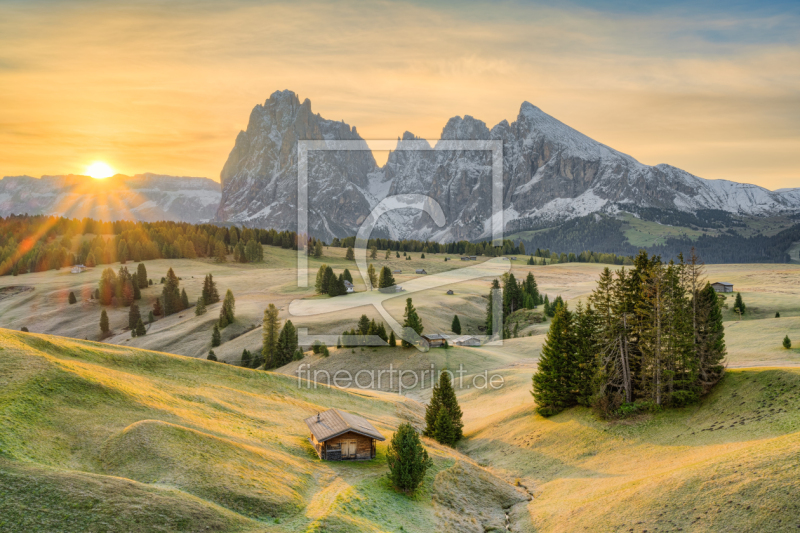 frei wählbarer Bildausschnitt für Ihr Bild auf Fensterfolie