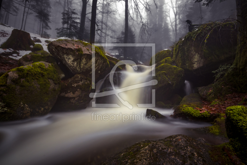 frei wählbarer Bildausschnitt für Ihr Bild auf Fensterfolie