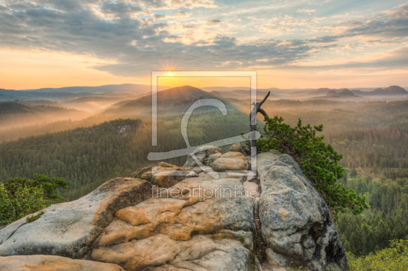 frei wählbarer Bildausschnitt für Ihr Bild auf Fensterfolie