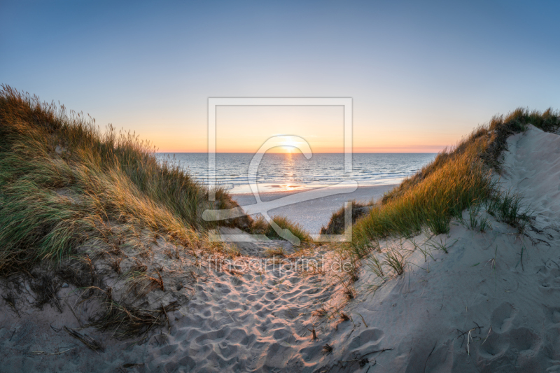 frei wählbarer Bildausschnitt für Ihr Bild auf Fensterfolie