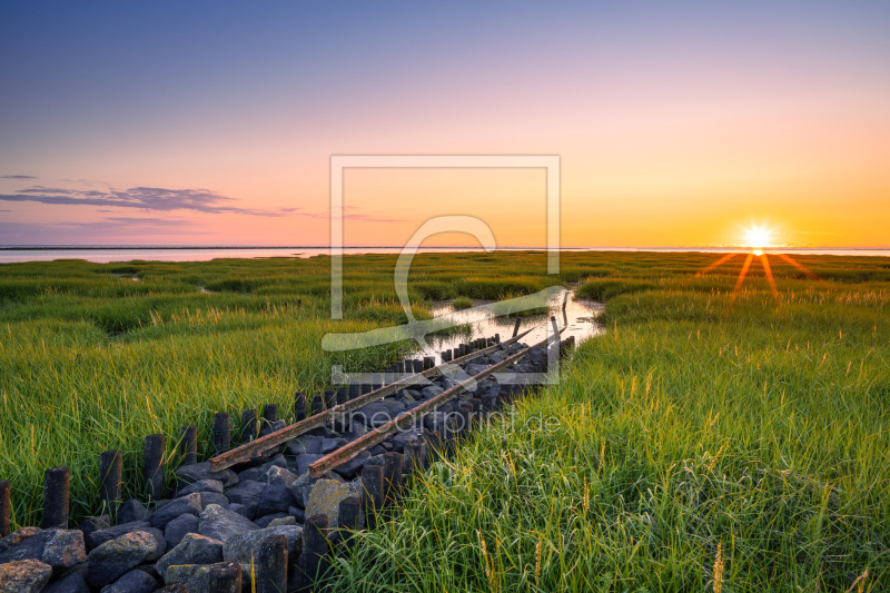 frei wählbarer Bildausschnitt für Ihr Bild auf Fensterfolie