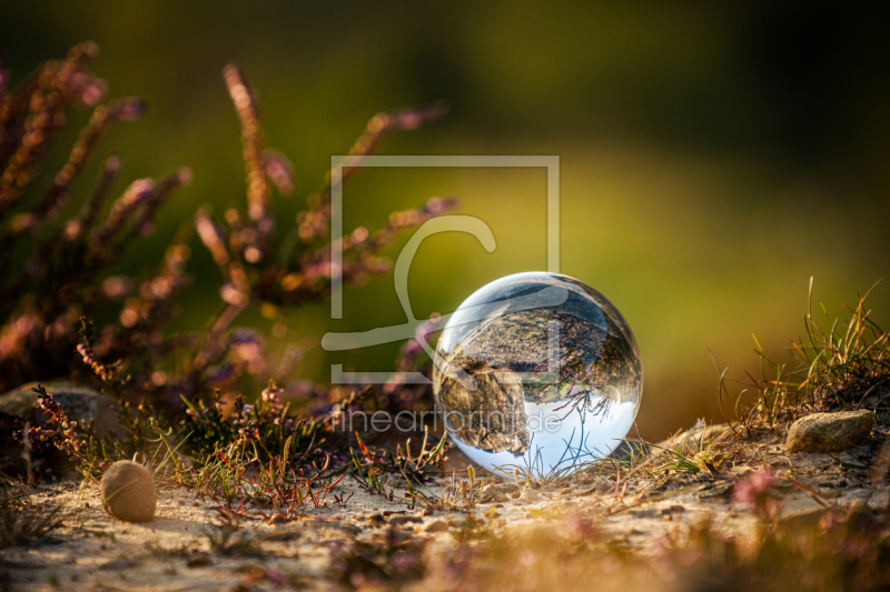 frei wählbarer Bildausschnitt für Ihr Bild auf Fensterfolie