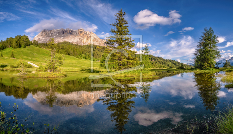 frei wählbarer Bildausschnitt für Ihr Bild auf Fensterfolie