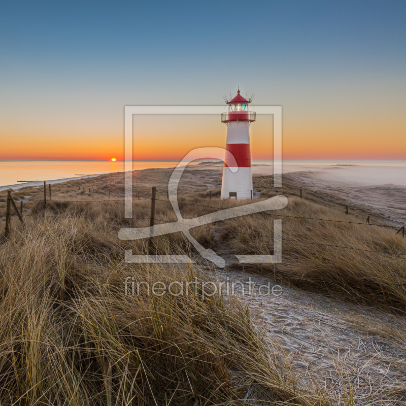 frei wählbarer Bildausschnitt für Ihr Bild auf Fensterfolie