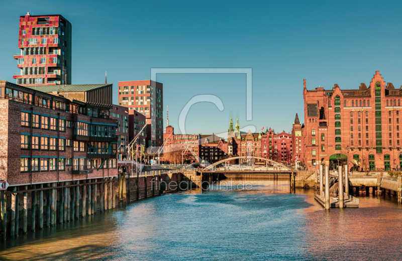 frei wählbarer Bildausschnitt für Ihr Bild auf Fensterfolie