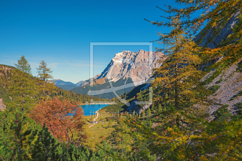 frei wählbarer Bildausschnitt für Ihr Bild auf Fensterfolie