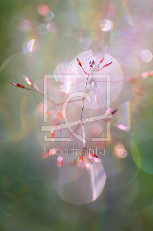 frei wählbarer Bildausschnitt für Ihr Bild auf Fensterfolie