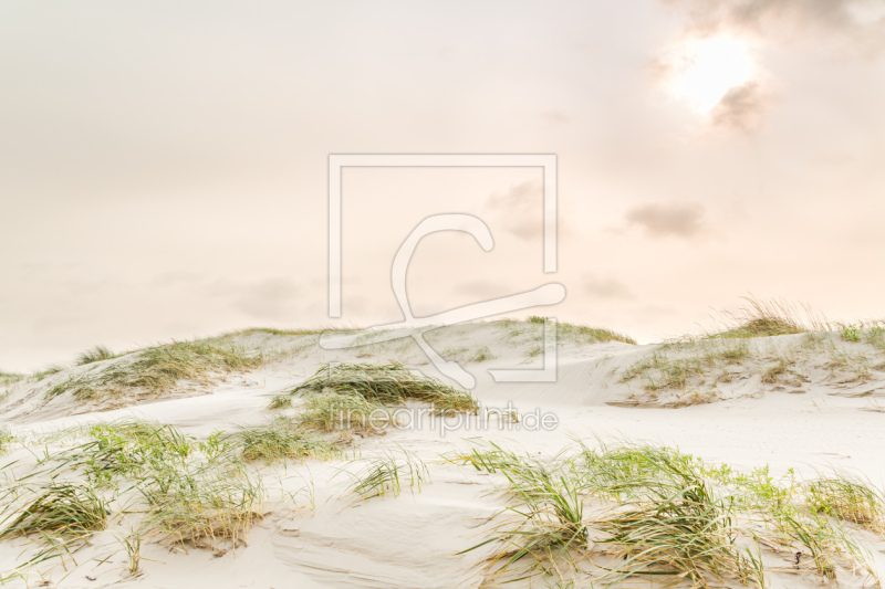 frei wählbarer Bildausschnitt für Ihr Bild auf Fensterfolie